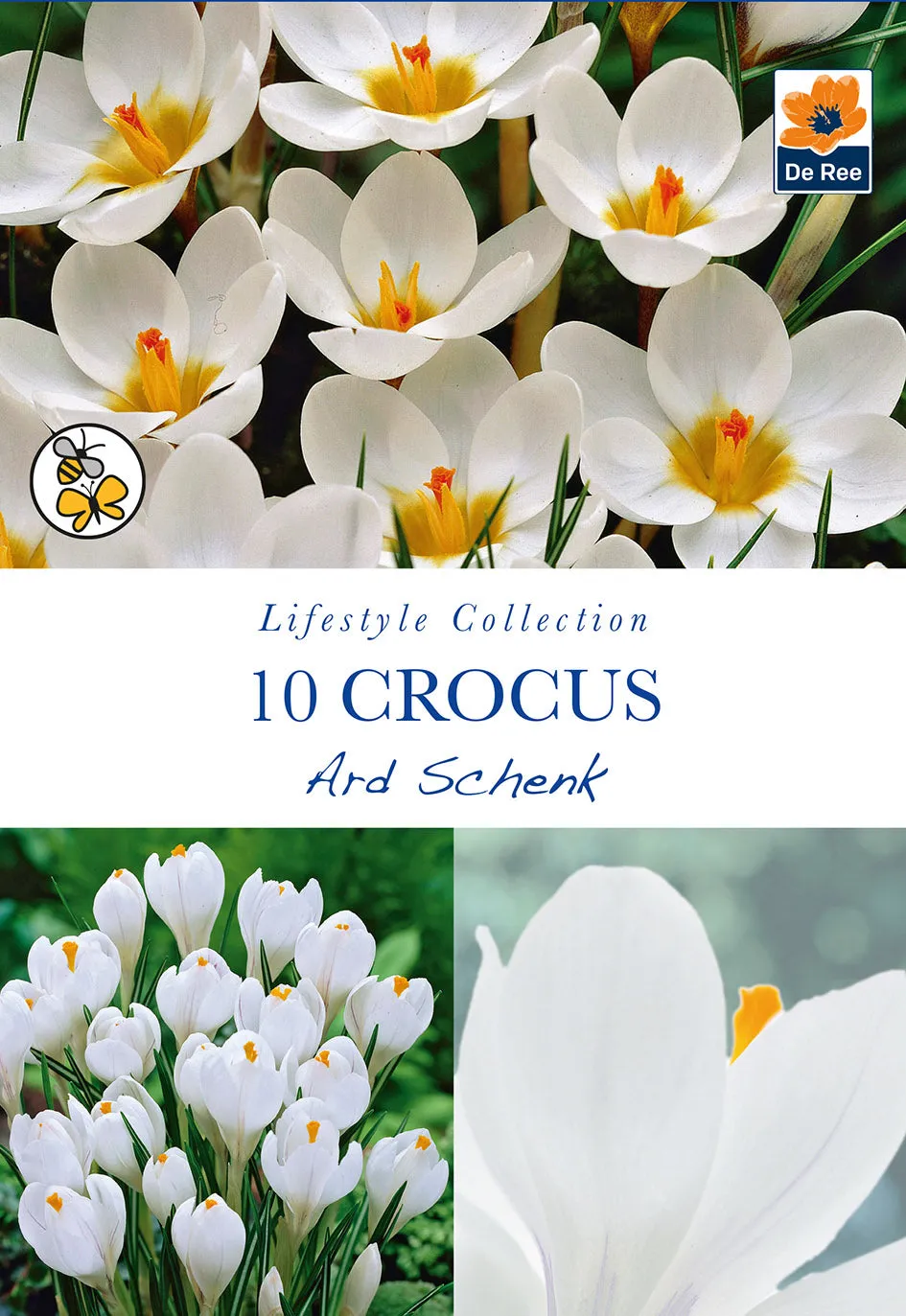 Crocus Ard Schenk (10 Bulbs)